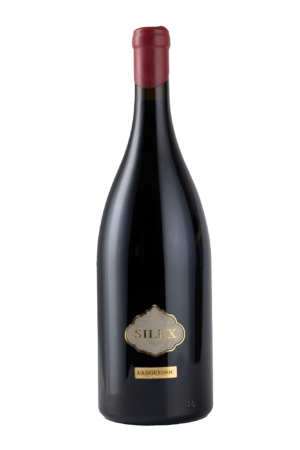 Cave d'Adissan - AOP Clairette d'Adissan - SILEX MAGNUM